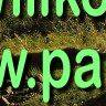 Willkommen bei Paulsh&uuml;tte.de
