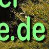 Willkommen bei Paulsh&uuml;tte.de