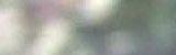 �ber unsere Gemeinschaft