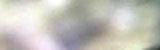 �ber unsere Gemeinschaft