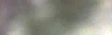 �ber unsere Gemeinschaft