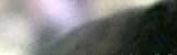 �ber unsere Gemeinschaft