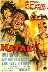Hatari