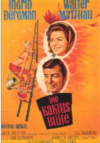 Die Kaktusbl&uuml;te