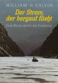Der Strom, der bergauf fließt